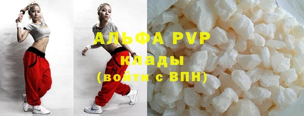 прущие грибы Заволжье