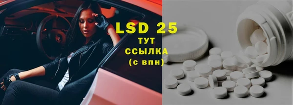 прущие грибы Заволжье