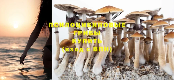 прущие грибы Заволжье