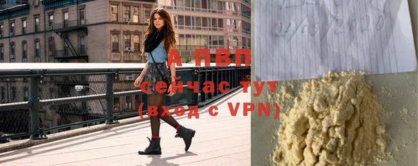 прущие грибы Заволжье