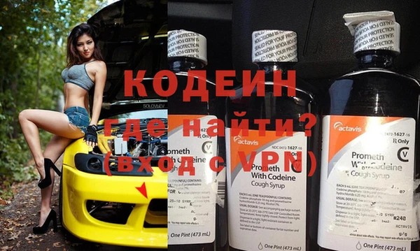 прущие грибы Заволжье