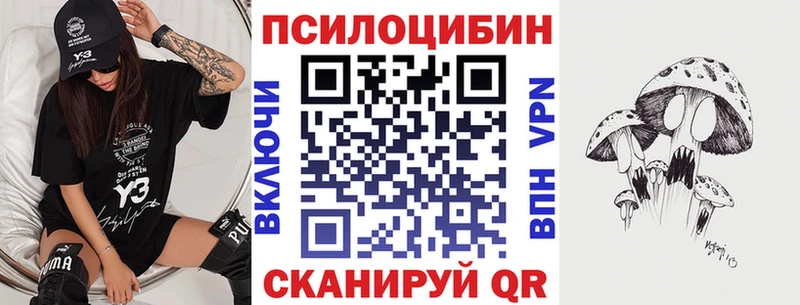 hydra ссылка  Сегежа  Псилоцибиновые грибы Cubensis 