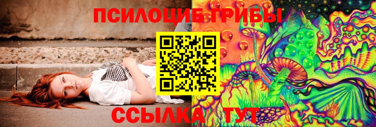 Сегежа  Галлюциногенные грибы Cubensis  Галлюциногенные грибы мухоморы  Вход с VPN 